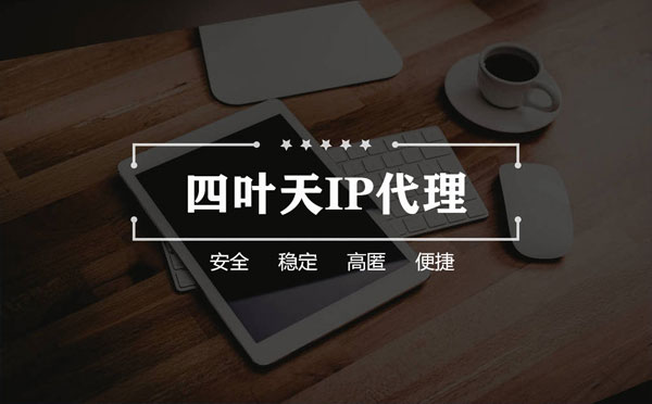 【雅安代理IP】如何快速搭建代理IP？怎么检查代理的效果？